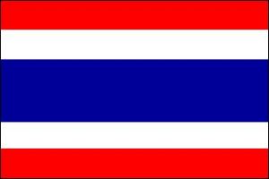 【旅游签证】武汉代办泰国签证机构 2024泰国落地签证流程