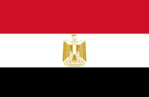 武汉代办埃及签证费用|不通过中间商 品质可控制