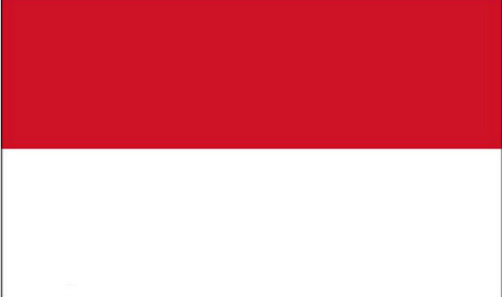 武汉代办印尼签证机构|印度尼西亚电子签证