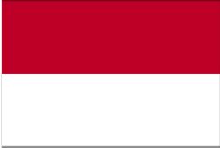 武汉代办印尼签证-一年多次商务签