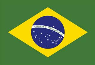 武汉代办巴西旅游签证 十年有效期多次往返